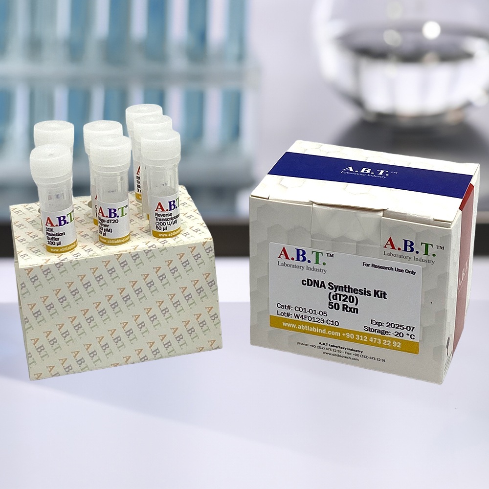 A.B.T.™ cDNA Synthesis Kit (dT20)