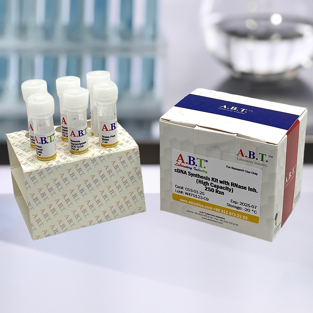 A.B.T.™ cDNA Synthesis Kit with Rnase inh. (High Capacity)