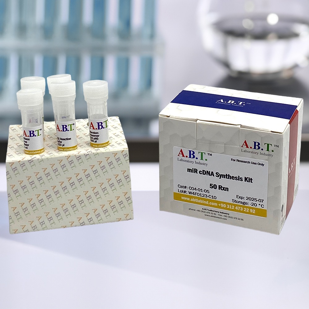 A.B.T.™ miR cDNA Synthesis Kit